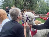 Podopieczni "Uśmiechu Dziecka" na wycieczce